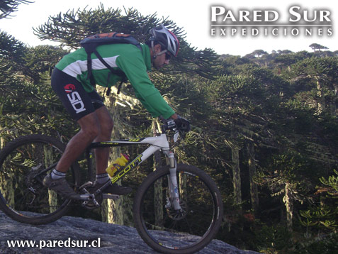 Nahuelbuta