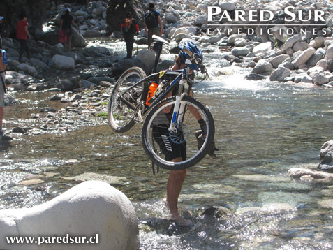 7 tazas Photo: Pablo Sep�lveda