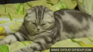 Animowane gify #17 8