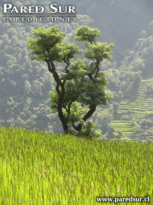 Nepal