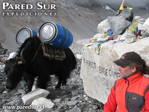 Nepal Trekking